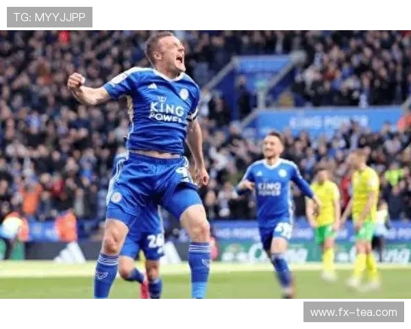 伊普斯维奇足球俱乐部历史沿革与现代发展分析