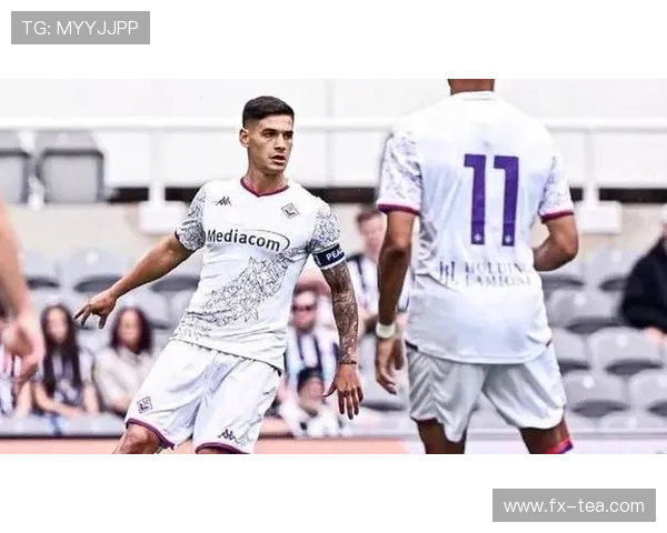 弗罗西诺内足球俱乐部发展历程与未来展望分析